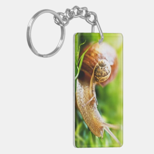 かたつむり キーホルダー (正面左)