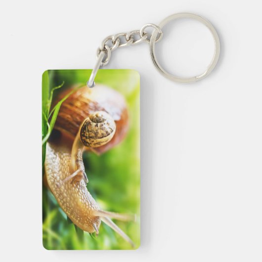 かたつむり キーホルダー (裏面)