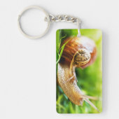 かたつむり キーホルダー (正面)