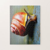 かたつむり ジグソーパズル (縦)