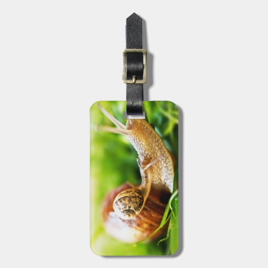 かたつむり ラゲッジタグ (正面縦)