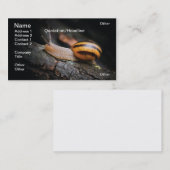 かたつむり 名刺 (正面/裏面)