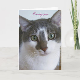 かっこいいグレーとホワイトの猫 カード