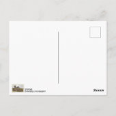 かっこいいデンマークのトロールポストカード！ ポストカード (裏面)