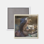 かっこいいヒポポタマス・マグネット！ マグネット (正面/裏面)