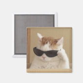 かっこいい猫のミーム マグネット (正面/裏面)