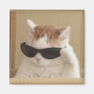 かっこいい猫のミーム マグネット