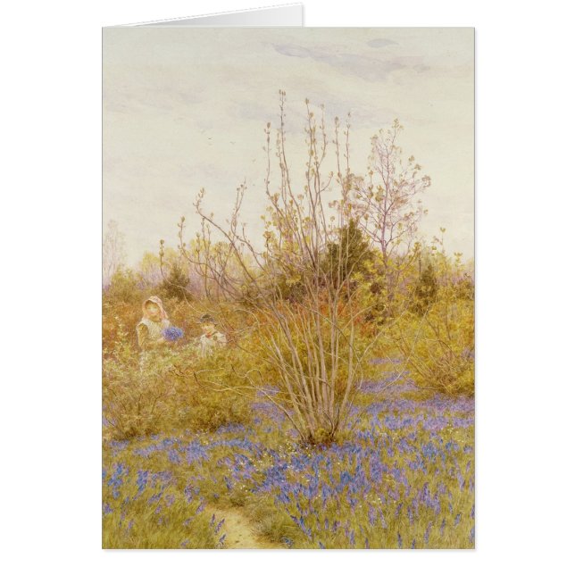 かっこう (正面)