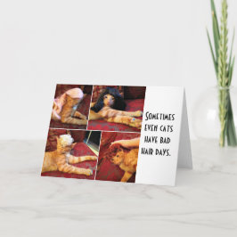 かつらの中空白のの猫 カード