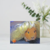 かつら付きモルモット ポストカード (スタンド正面)