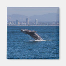 かなりの時間 マグネット