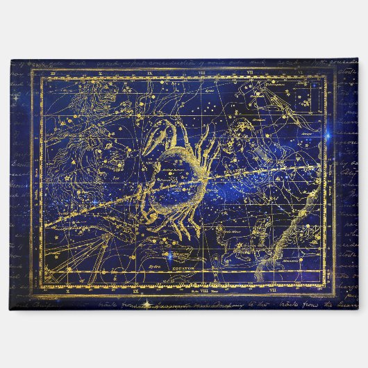 かに座マグネット マグネット (正面)