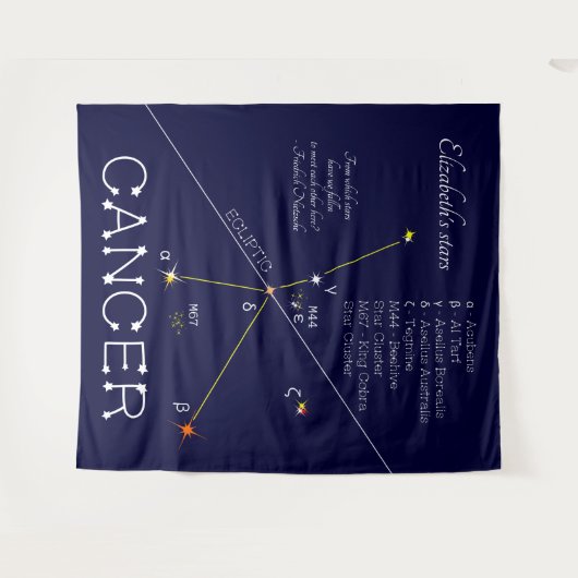 かに座 タペストリー (正面(横))