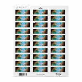 かに星雲 ラベル (フルシート)