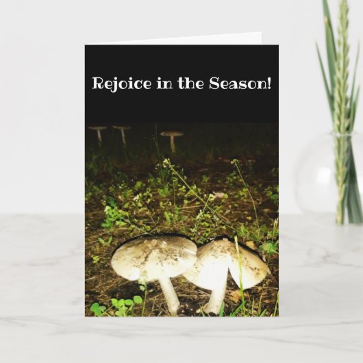 「かび室」イースターカード カード (正面)