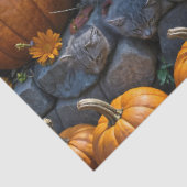 かぼちゃとラムを使ったふわふわした秋の子猫3 薄葉紙 (詳細)