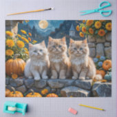 かぼちゃとラムを使ったふわふわした秋の子猫3 薄葉紙 (クラフト)