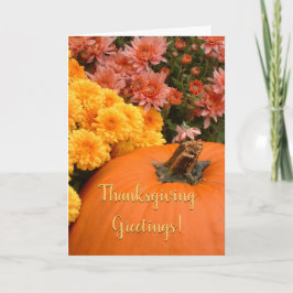 かぼちゃと菊 カード