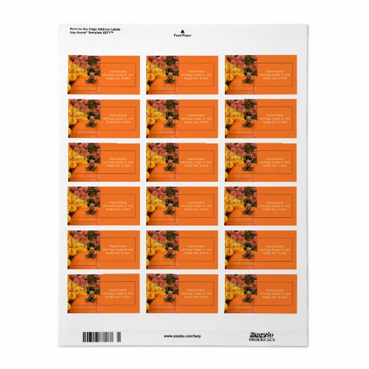 かぼちゃと菊 ラベル (フルシート)