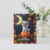 かぼちゃにかわいい子猫紅葉 ポストカード (スタンド正面)