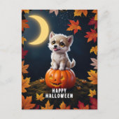 かぼちゃにかわいい子猫紅葉 ポストカード (正面)