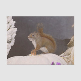 かぼちゃに座っているウッドランドリス 薄葉紙