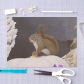 かぼちゃに座っているウッドランドリス 薄葉紙 (クラフト)