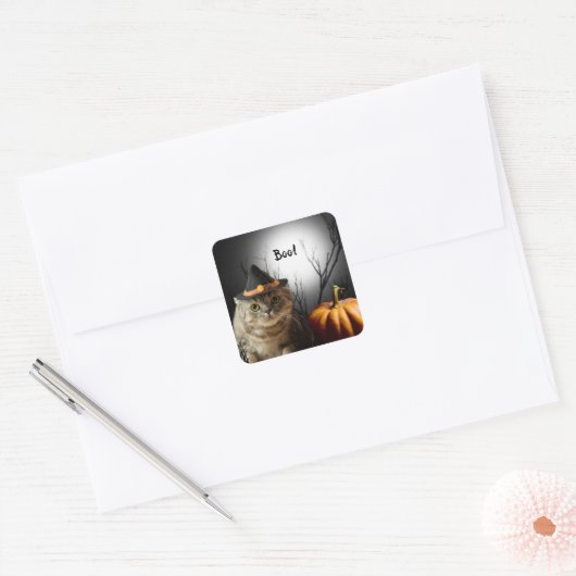 かぼちゃのステッカー付きハロウィーン魔女ネコ スクエアシール (封筒)