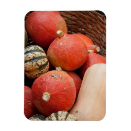 かぼちゃのバスケット マグネット