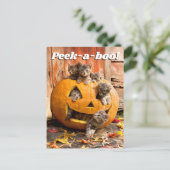 かぼちゃのランタンと子猫たち インビテーションポストカード (スタンド正面)