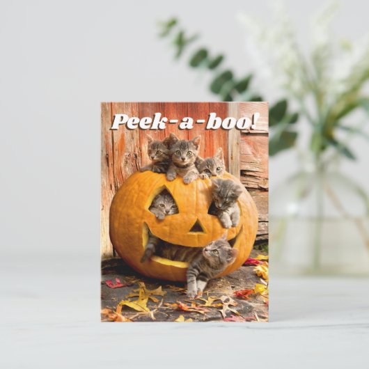 かぼちゃのランタンの中の子猫たち インビテーションポストカード (スタンド正面)