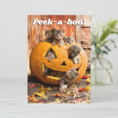 かぼちゃのランタンの中の子猫たち 招待状 (スタンド正面)