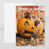 かぼちゃのランタンの中の子猫たち 招待状 (正面/裏面)