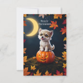 かぼちゃの上のキュートな子猫と紅葉 カード (正面)