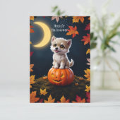 かぼちゃの上のキュートな子猫と紅葉 カード (スタンド正面)