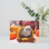 かぼちゃの中の鶏 シーズンポストカード (スタンド正面)