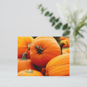 かぼちゃの山 ポストカード (スタンド正面)