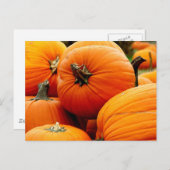 かぼちゃの山 ポストカード (正面/裏面)