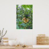 かぼちゃはリンゴの木に生える ポスター (キッチン)