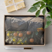 かぼちゃやラムを使ったふわふわした秋の子猫4匹 薄葉紙 (ギフト)