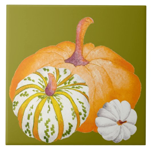 かぼちゃをセラミックのタイルで収穫する(3) タイル (正面)
