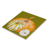 かぼちゃをセラミックのタイルで収穫する(3) タイル (側面)