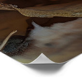 かぼちゃを抱えてくつろぐ子猫 ポスター (角)