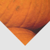かぼちゃパッチティッシュペーパー 薄葉紙 (詳細)