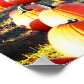 かぼちゃパッチ ポスター (角)