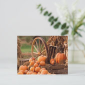 かぼちゃパッチ ポストカード (スタンド正面)