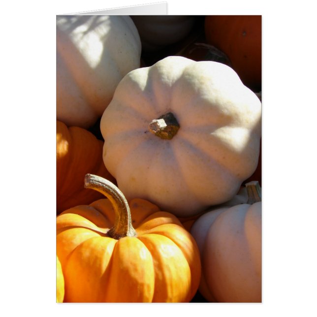 かぼちゃ杭 (正面)