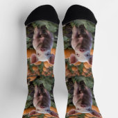 かぼちゃ畑の子ぶたは ソックス (上部)