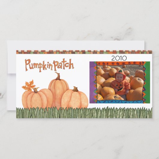 かぼちゃ畑 (正面)