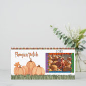 かぼちゃ畑 (スタンド正面)